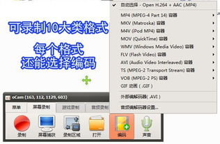 錄屏小將OCam 全能錄屏截圖錄音，專業攝影服務一應俱全