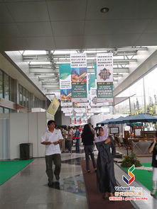 新天會(huì)展 專業(yè)的國內(nèi)與國際展會(huì)服務(wù)專家