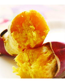 泉城烤薯加盟詳解 費用、總部及地瓜坊餐飲管理分析